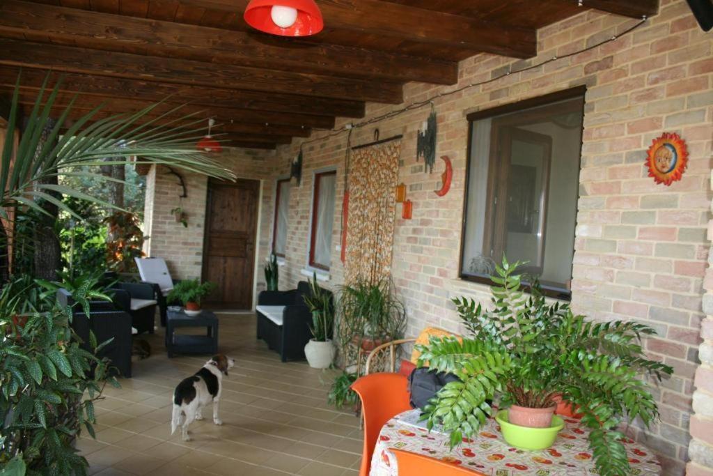 Hotel Casa Campagna Castiadas Exteriér fotografie
